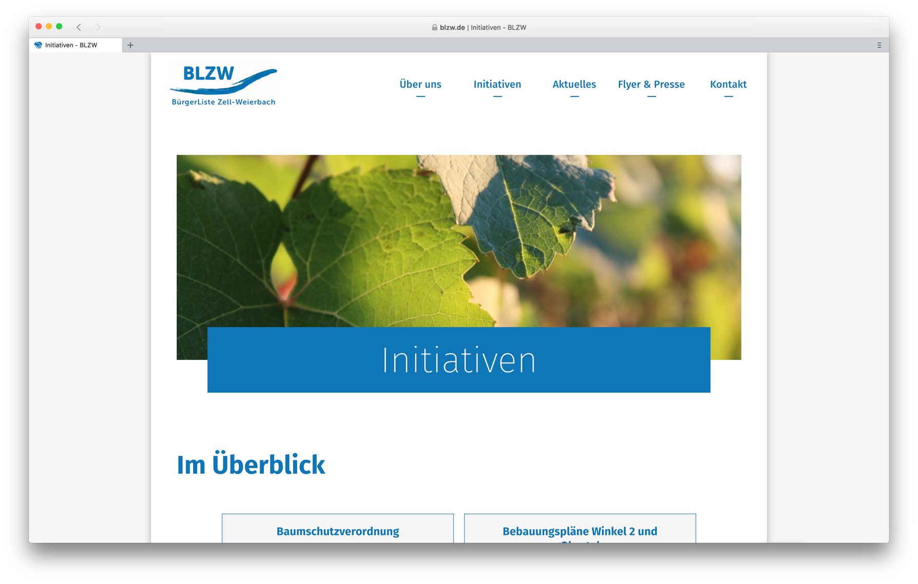 Blzw De Website